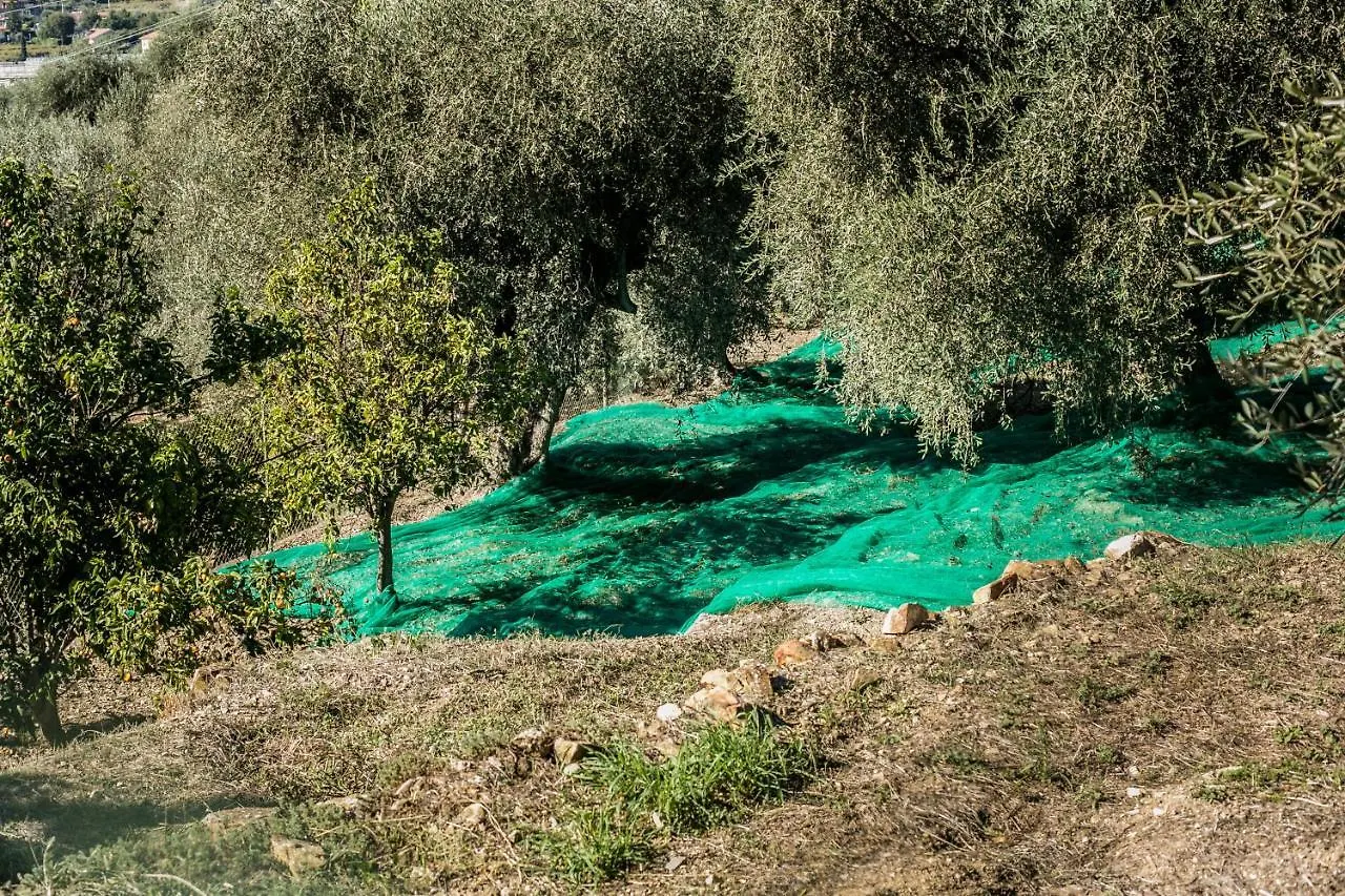 Le Raganelle Hotel Oneglia Farm stay